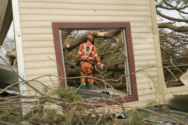 How Our Tree Care Process Works  in  Upper Lake, CA